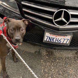 Meet your Posher, Andrew